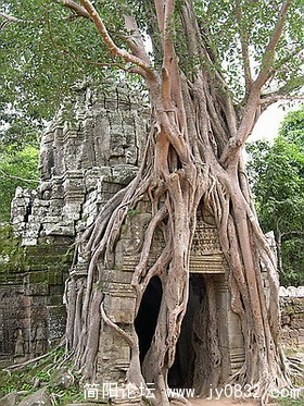 DSCN5677.jpg