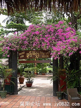 DSCN5685.jpg