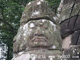 DSCN5787.jpg