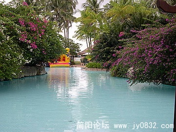 DSCN6100.jpg