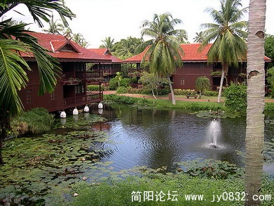 DSCN6105.jpg