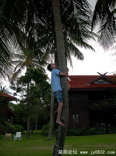 DSCN6185.jpg