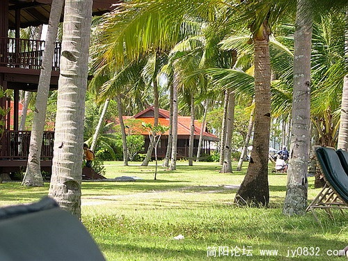 DSCN6209.jpg