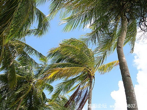 DSCN6229.jpg