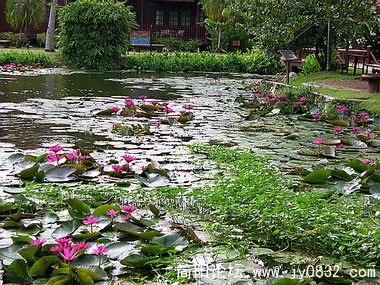 DSCN6317.jpg