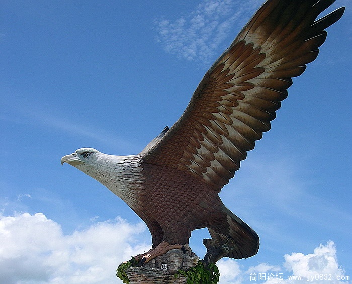 DSCN6345.jpg