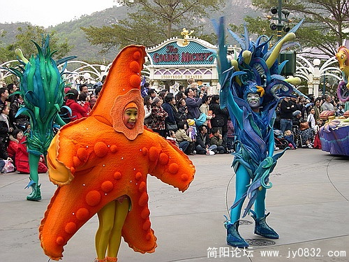 DSCN5335.jpg