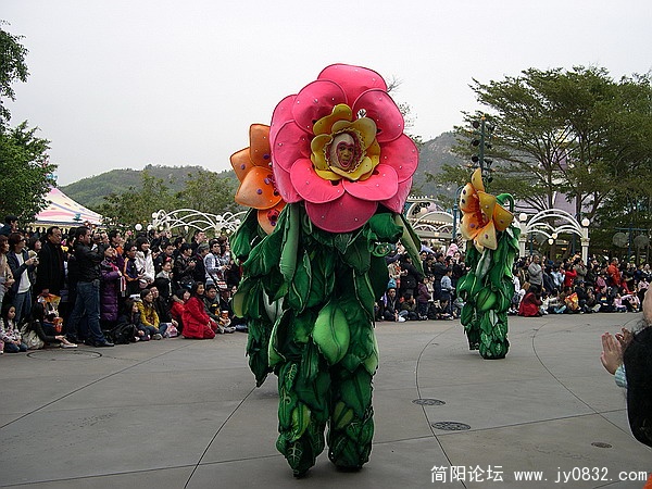 DSCN5333.jpg