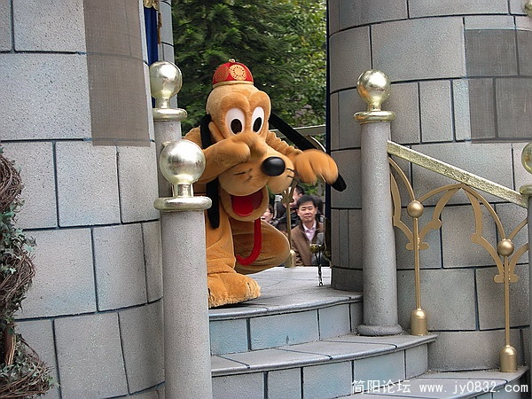 DSCN5347.jpg