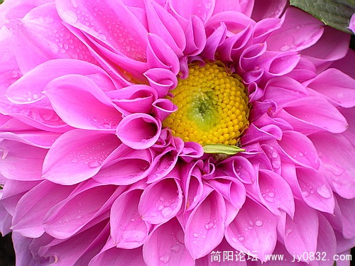 DSCN5464.jpg