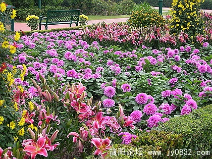 DSCN5450.jpg