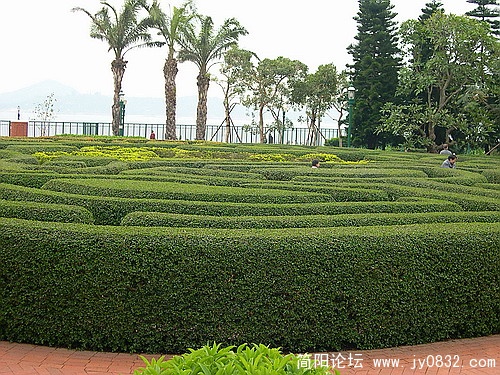 DSCN5449.jpg