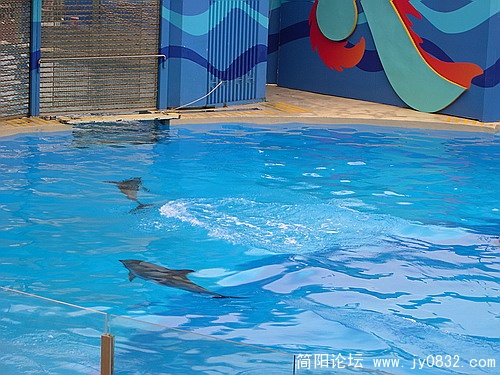 DSCN5490.jpg
