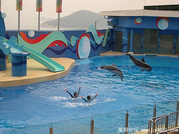 DSCN5491.jpg