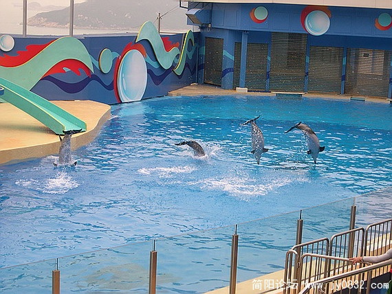 DSCN5496.jpg