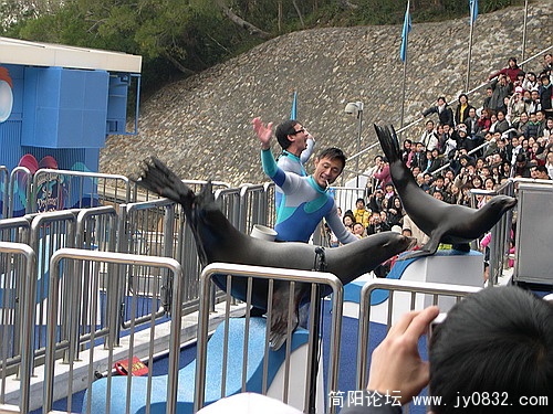 DSCN5498.jpg