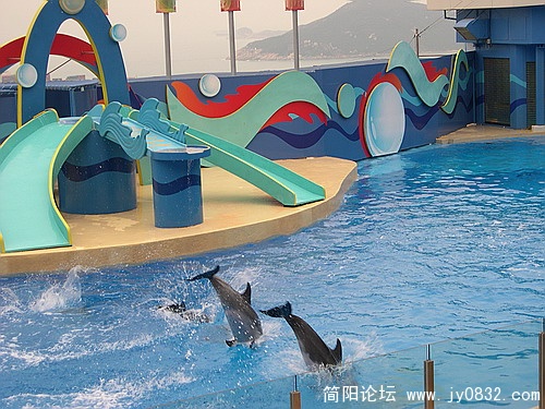 DSCN5497.jpg