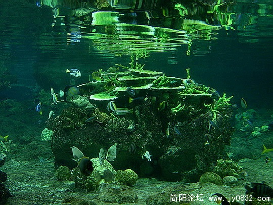 DSCN5510.jpg