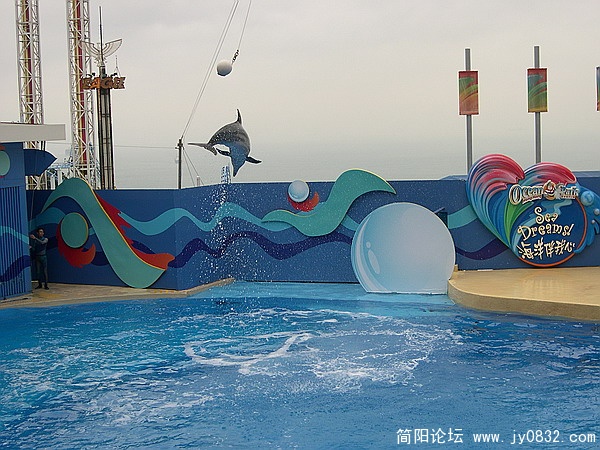 DSCN5501.jpg