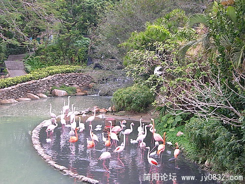 DSCN5529.jpg