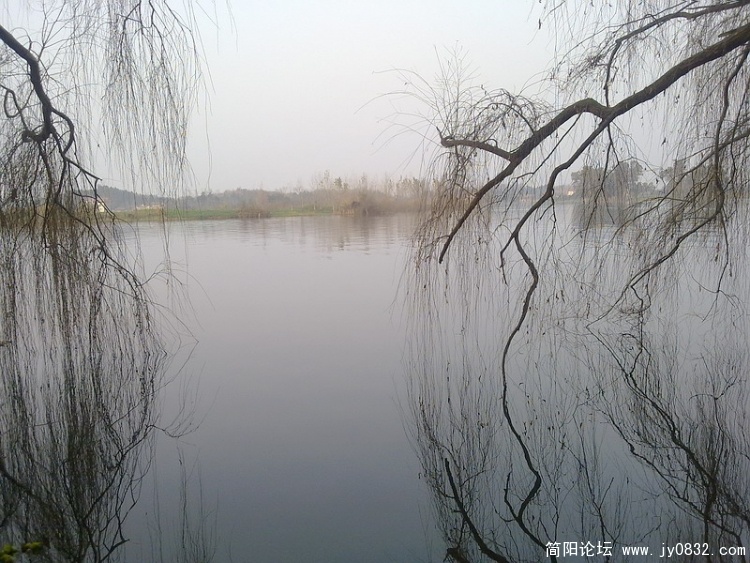 20100115044.jpg