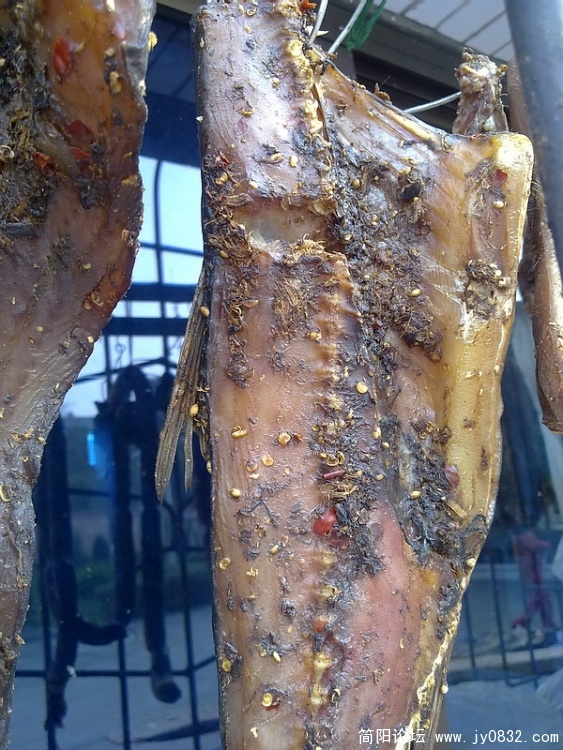 20100113033.jpg