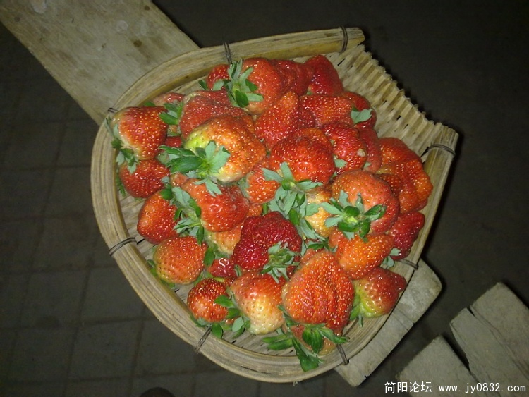 20100115056.jpg