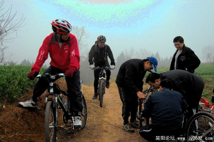 BigBull_DSC_4329.JPG
