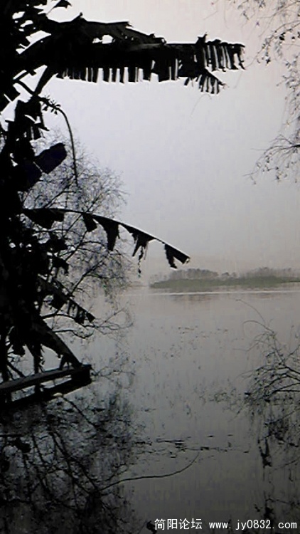 Image169.jpg
