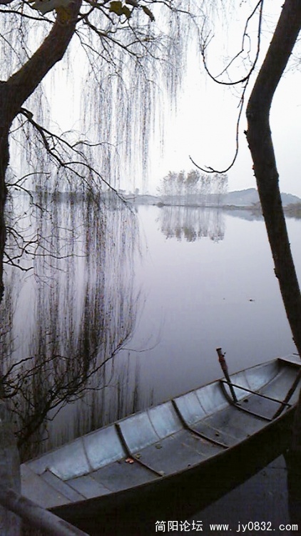 Image185.jpg