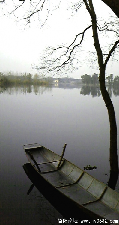 Image184.jpg