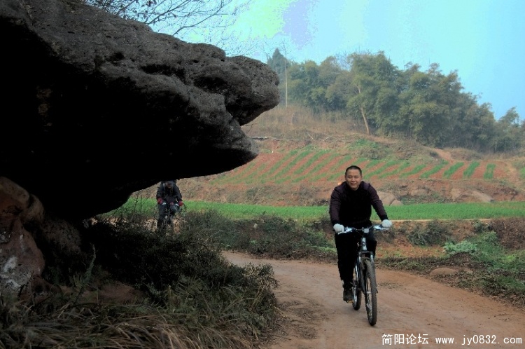 BigBull_DSC_4425.JPG