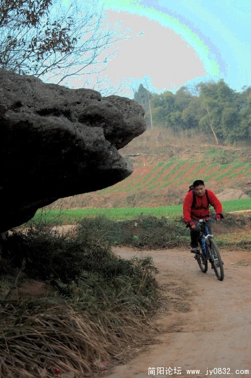 BigBull_DSC_4431.jpg