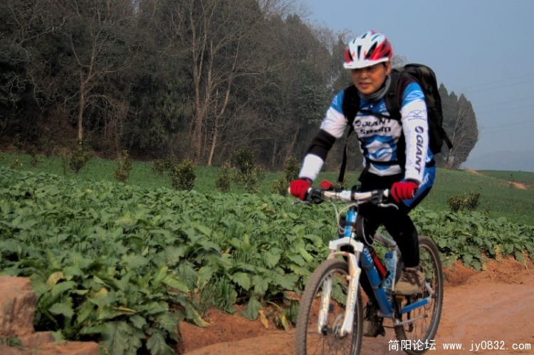 BigBull_DSC_4433.JPG