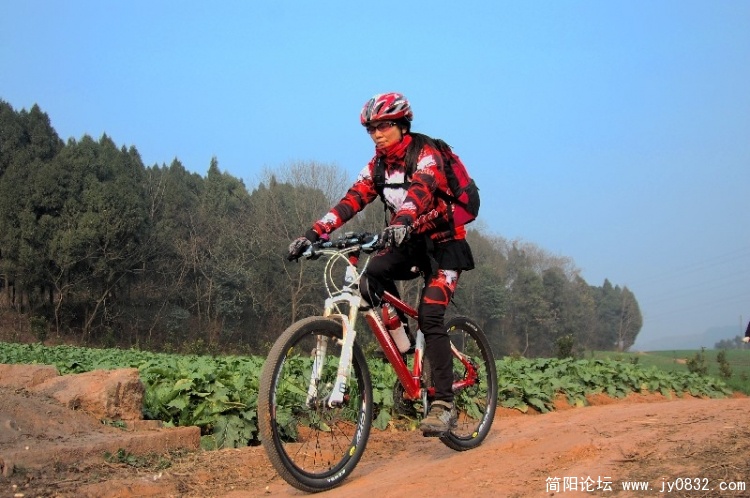 BigBull_DSC_4436.JPG