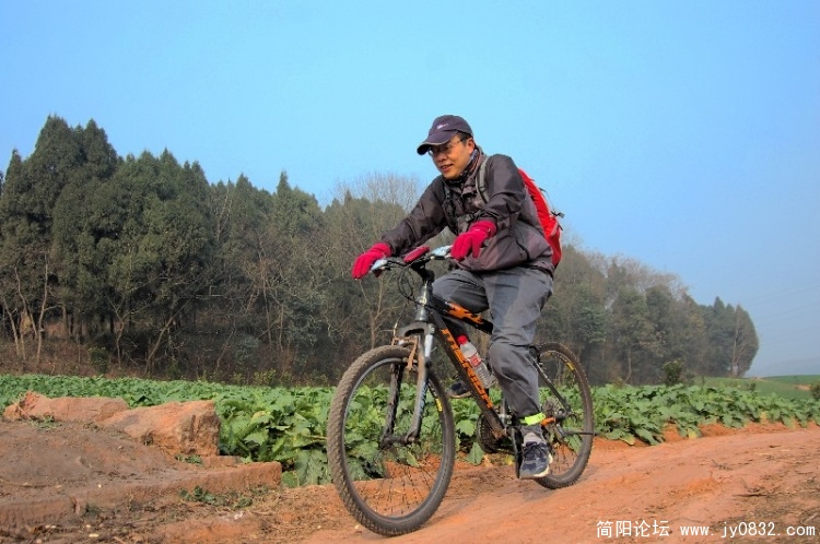 BigBull_DSC_4440.JPG