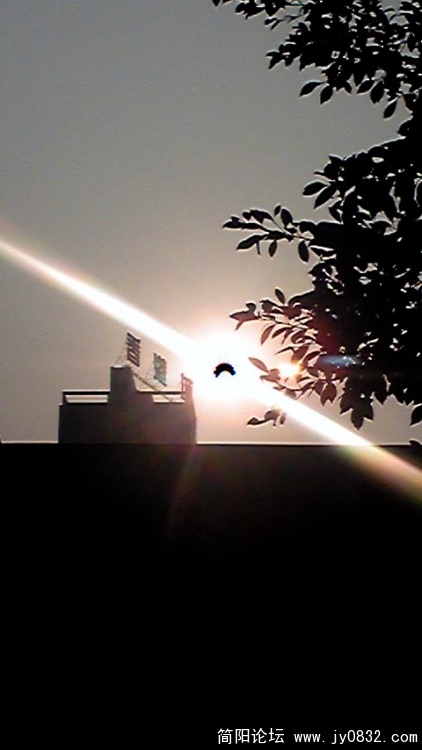 Image159.jpg