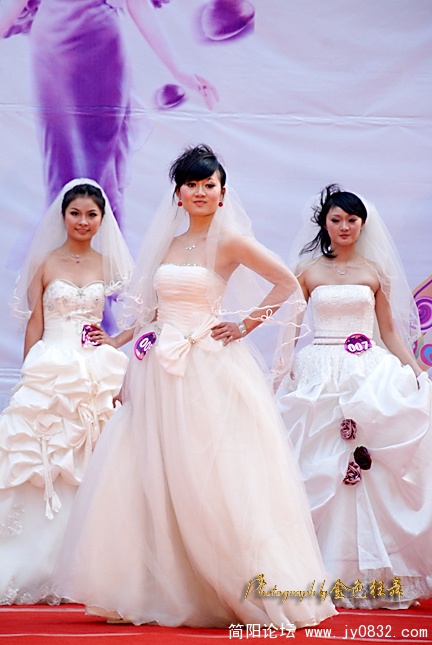 DSC_2771.jpg