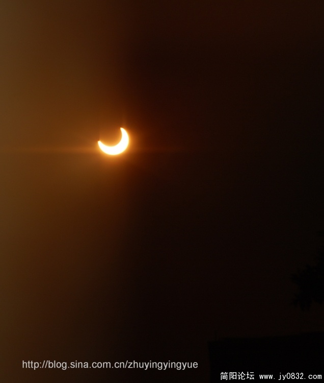 DSC_0338.JPG