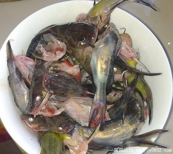 20100121098.jpg