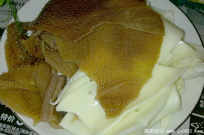 20100121103.jpg