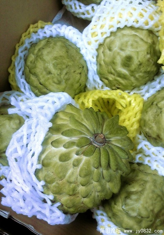 Image184~0.jpg