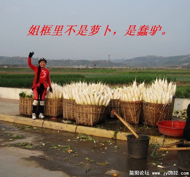 1001232250c1ec6421a6a20e8d_副本.jpg