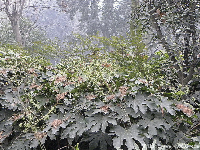 DSCN0034.jpg