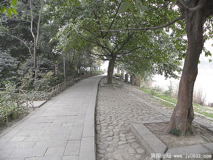 DSCN0047.jpg