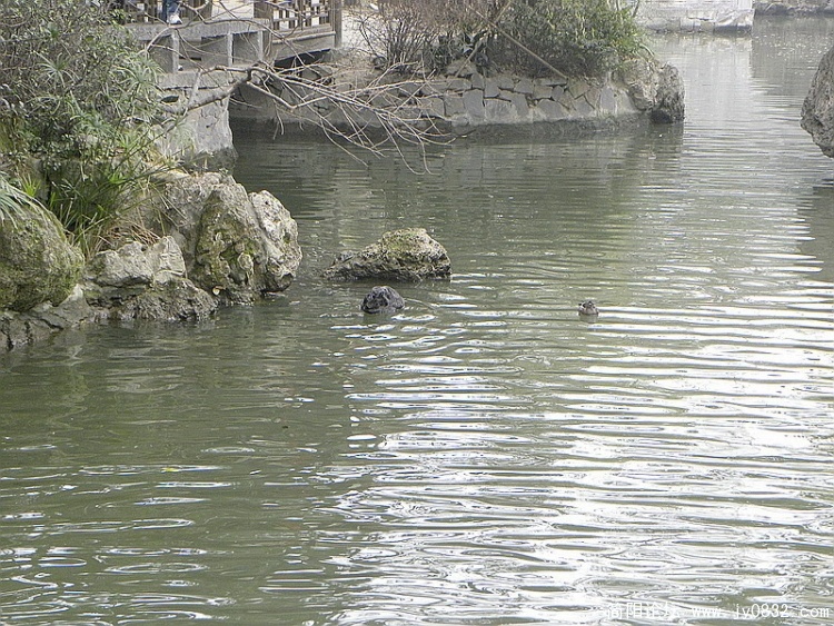DSCN0054.jpg