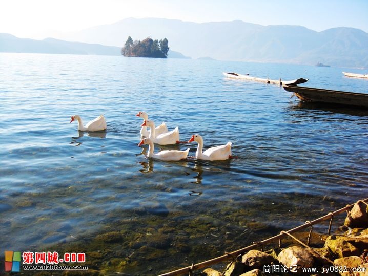 20100119_0536eb4db1cf70801746kwbSfErsgiz1.jpg