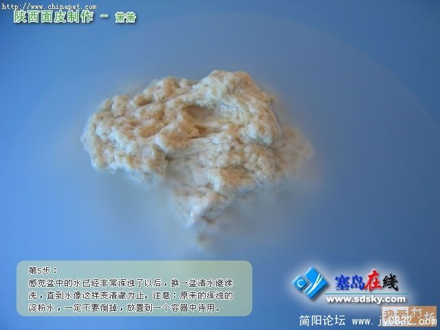 20071121313946842.jpg