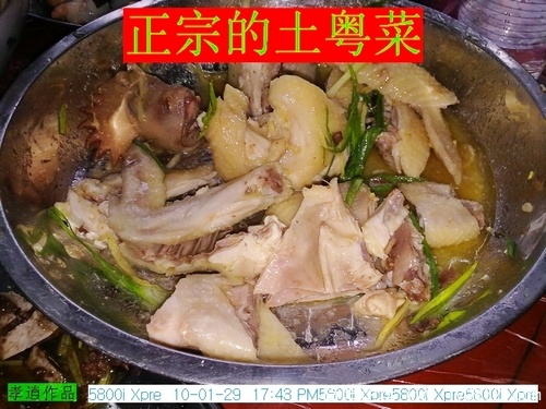 20100129004.jpg