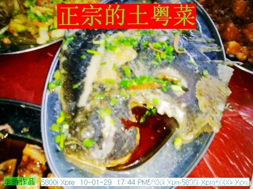 20100129007.jpg